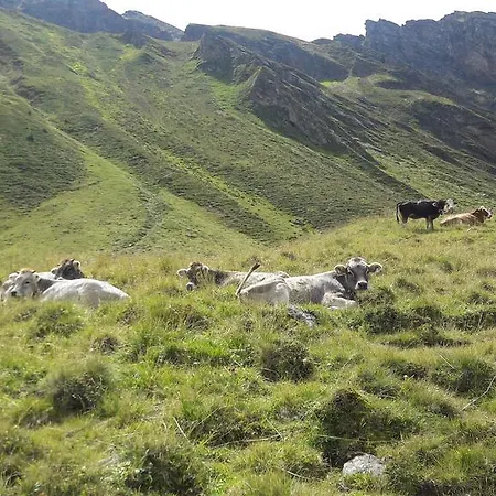 Plattner Apartamento *