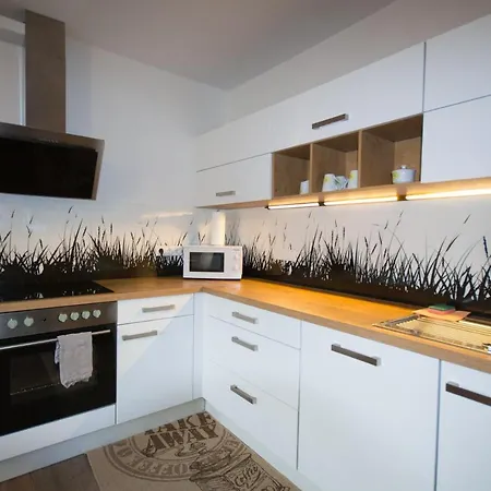 Plattner Apartament *